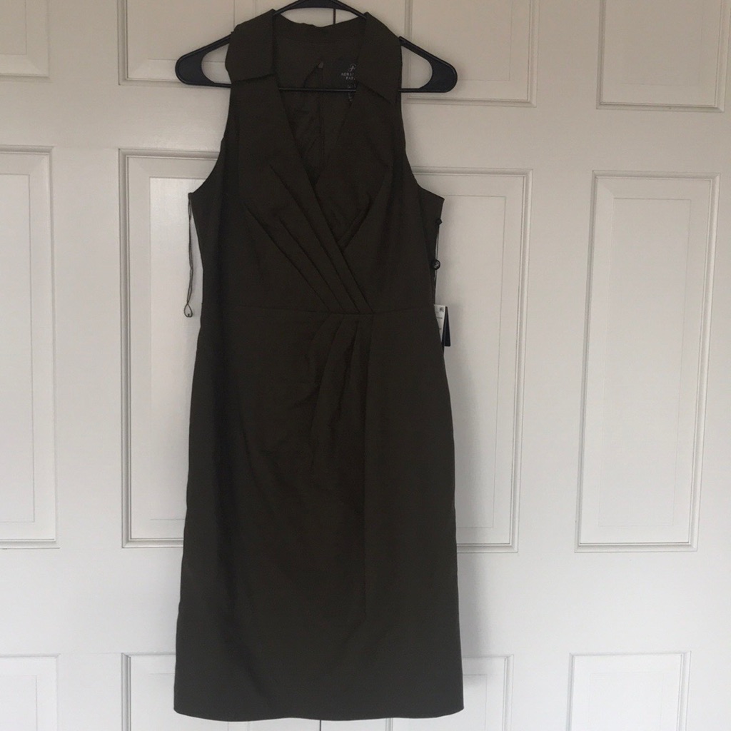 Nwt Adrianna Papell Dress